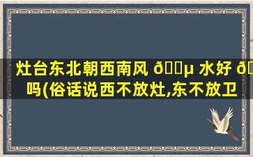 灶台东北朝西南风 🌵 水好 🐶 吗(俗话说西不放灶,东不放卫)